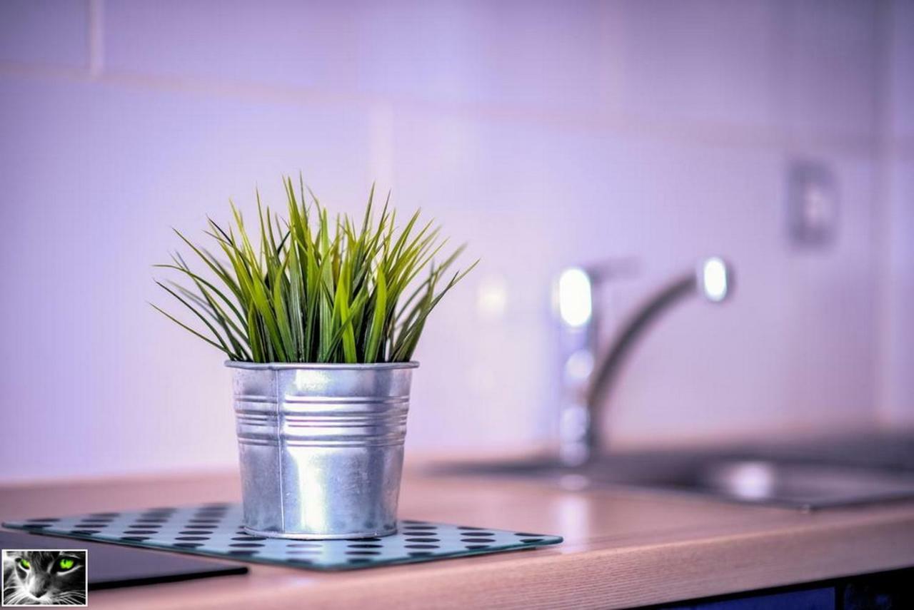 Appartement Spacieux ستشيلتيغهيم المظهر الخارجي الصورة