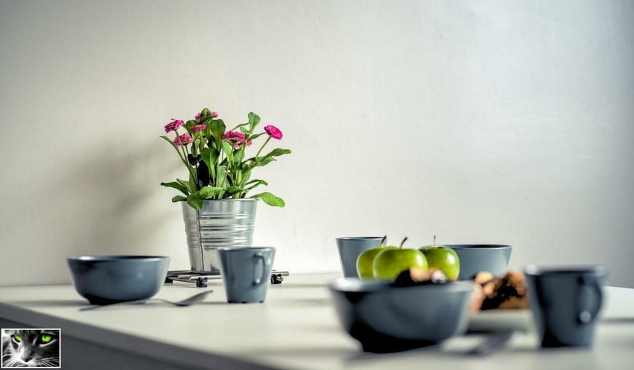 Appartement Spacieux ستشيلتيغهيم المظهر الخارجي الصورة
